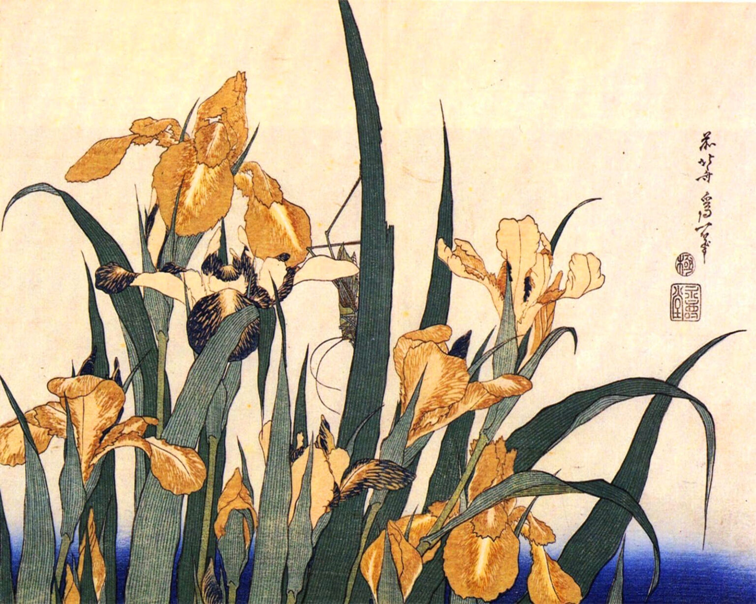 Iris e cavalletta. Autore: Hokusai. 1833-1834.
