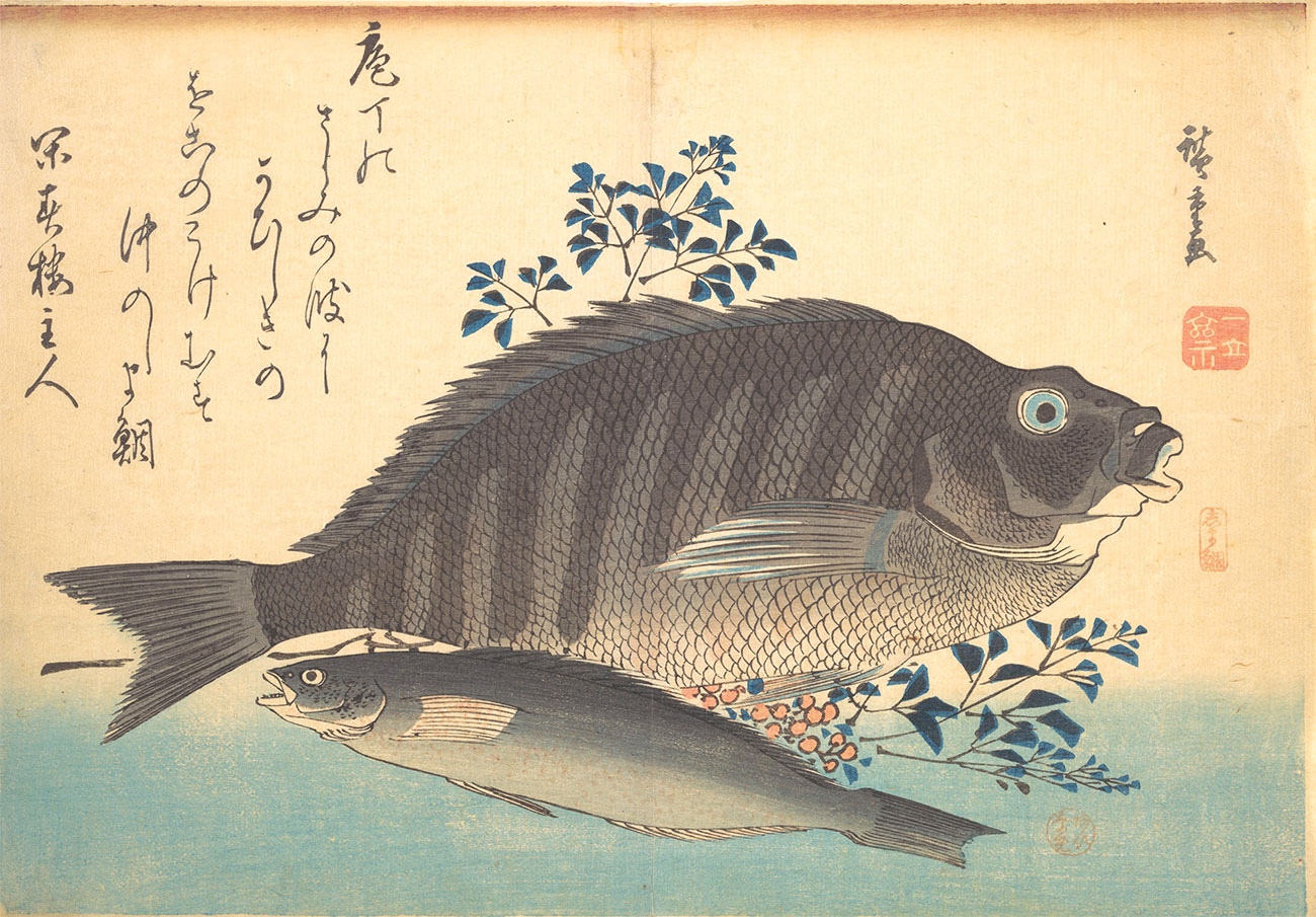 Shimadai e ainame di Hiroshige
