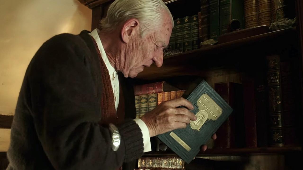 MR. HOLMES &ndash; Il mistero del caso irrisolto